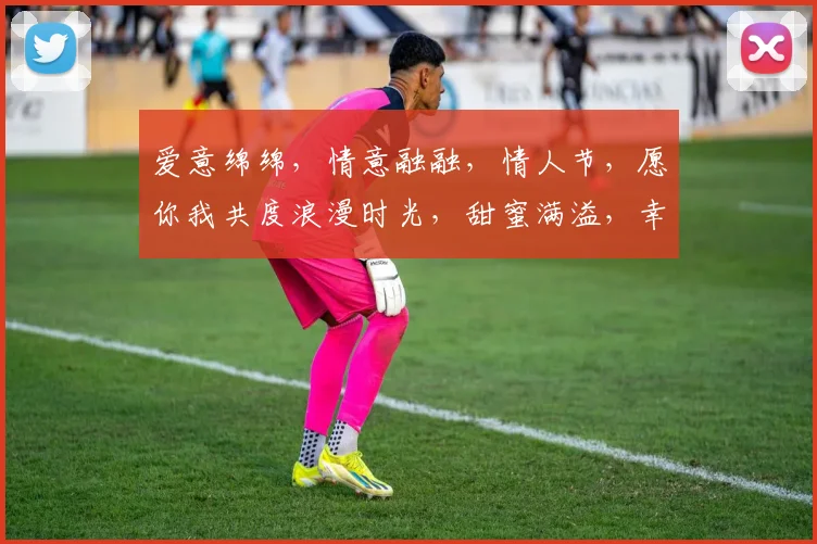 爱意绵绵，情意融融，情人节，愿你我共度浪漫时光，甜蜜满溢，幸福永恒。
