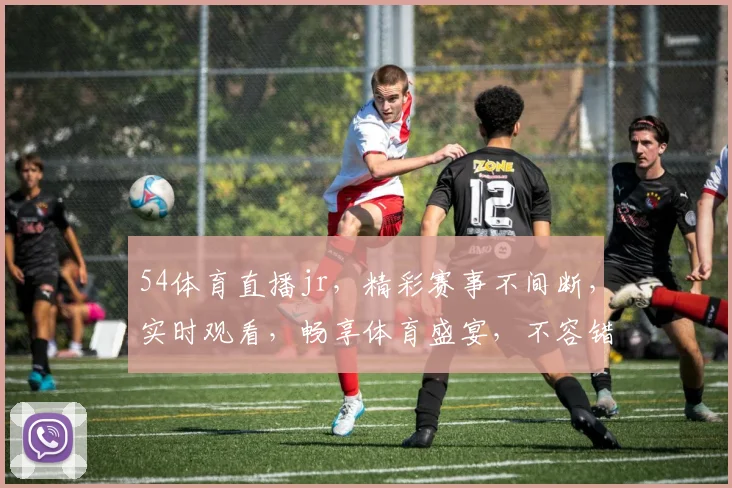 54体育直播jr，精彩赛事不间断，实时观看，畅享体育盛宴，不容错过