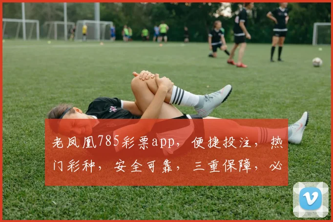 老凤凰785彩票app，便捷投注，热门彩种，安全可靠，三重保障，必中神器