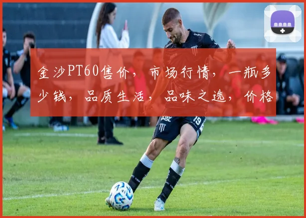 金沙PT60售价，市场行情，一瓶多少钱，品质生活，品味之选，价格合理，品质卓越。