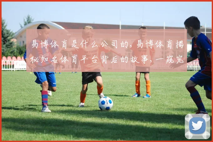 易博体育是什么公司的,易博体育揭秘知名体育平台背后的故事,一窥究竟