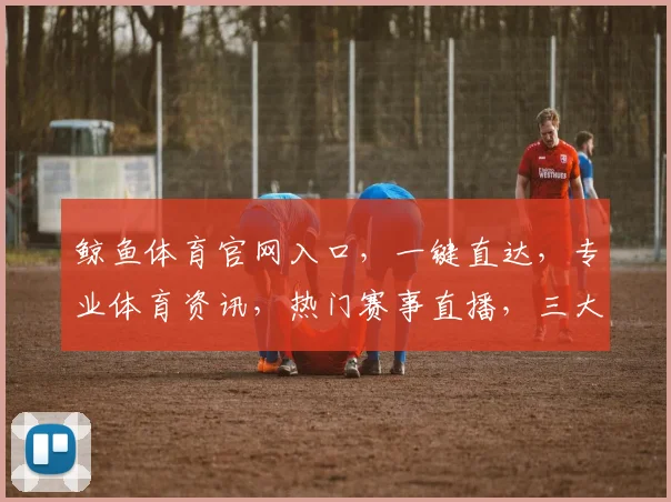 鲸鱼体育官网入口，一键直达，专业体育资讯，热门赛事直播，三大优势汇聚，不容错过